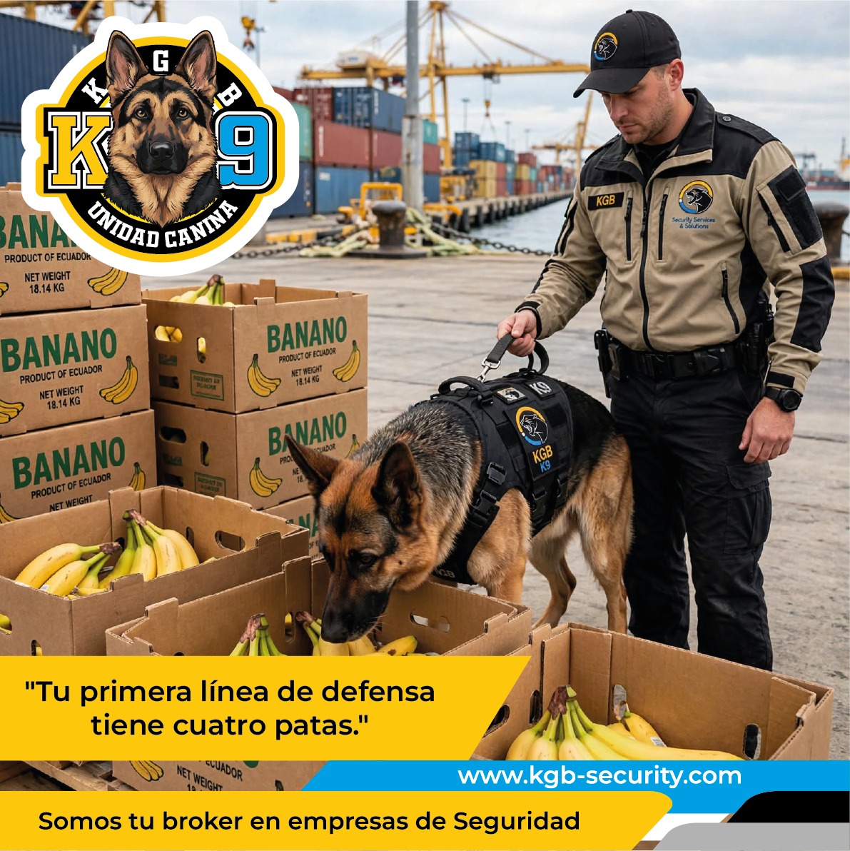 Unidad canina K9 de KGB inspecciona banano para exportación