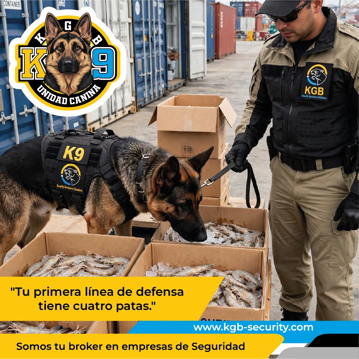 Unidad canina K9 de KGB inspecciona productos del mar